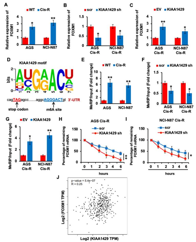 https://cdn.ncbi.nlm.nih.gov/pmc/blobs/3bc2/9600291/f9bbb8da3485/cancers-14-05025-g004.jpg
