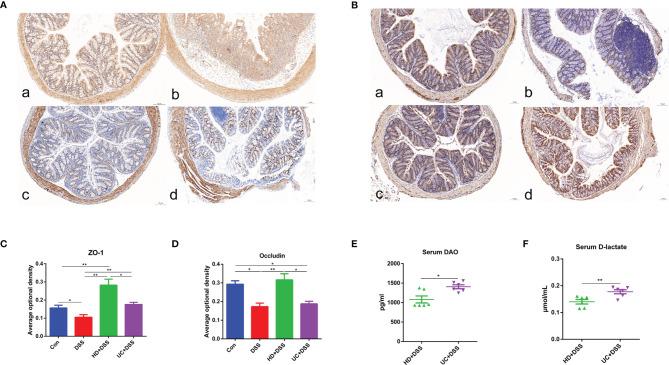 https://cdn.ncbi.nlm.nih.gov/pmc/blobs/3bc3/8882623/972e7b600c81/fimmu-13-836542-g005.jpg