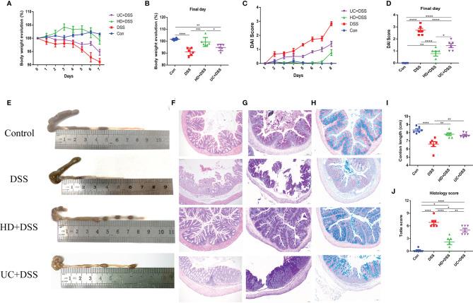 https://cdn.ncbi.nlm.nih.gov/pmc/blobs/3bc3/8882623/c4b11c553324/fimmu-13-836542-g002.jpg