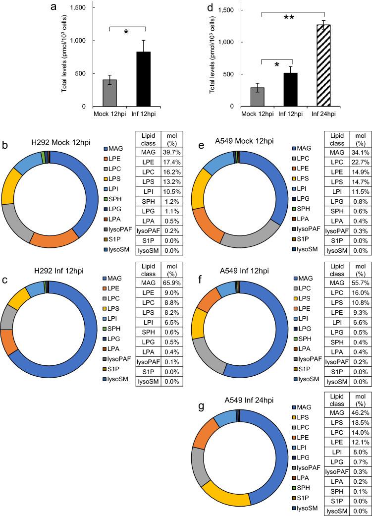 https://cdn.ncbi.nlm.nih.gov/pmc/blobs/3bc9/10080527/d98a69371422/705_2023_5766_Fig5_HTML.jpg