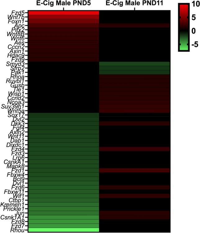 https://cdn.ncbi.nlm.nih.gov/pmc/blobs/3bca/8960495/0a5edcca2c9b/43188_2021_103_Fig6_HTML.jpg