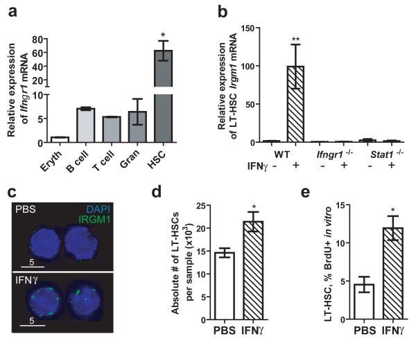 https://cdn.ncbi.nlm.nih.gov/pmc/blobs/3bcb/2935898/317baea68399/nihms-200265-f0003.jpg