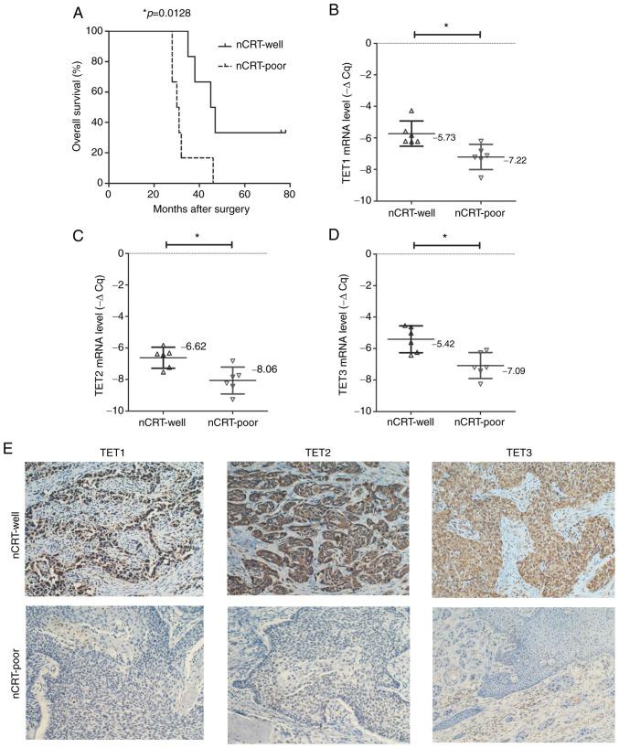 https://cdn.ncbi.nlm.nih.gov/pmc/blobs/3bcd/9748644/2a05e66415b9/etm-25-01-11728-g00.jpg