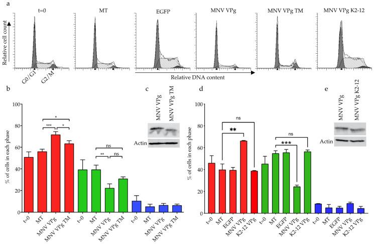 https://cdn.ncbi.nlm.nih.gov/pmc/blobs/3bce/8310136/12993b70c535/viruses-13-01282-g009.jpg