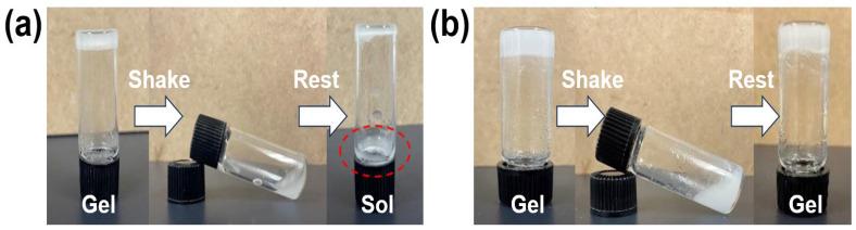 https://cdn.ncbi.nlm.nih.gov/pmc/blobs/3bd3/10529233/41c45cc8ad4a/gels-09-00730-g003.jpg