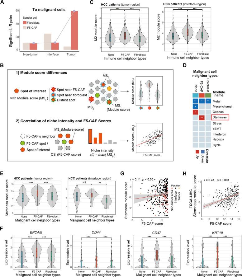 https://cdn.ncbi.nlm.nih.gov/pmc/blobs/3bd5/11320883/36c149beb5bf/13073_2024_1367_Fig5_HTML.jpg