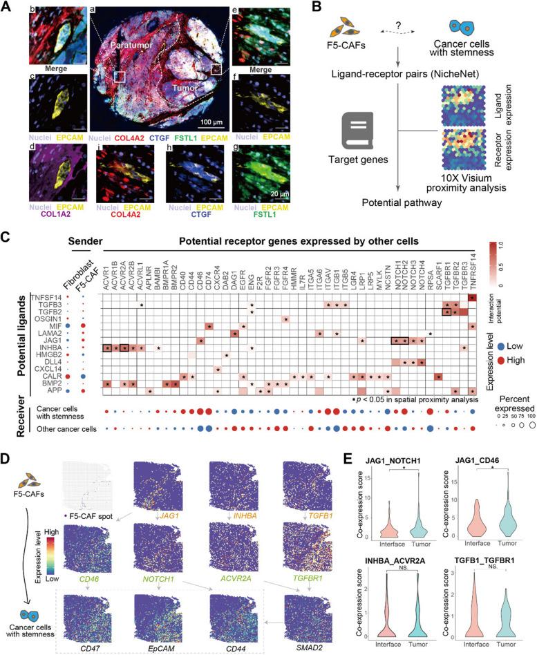 https://cdn.ncbi.nlm.nih.gov/pmc/blobs/3bd5/11320883/3f81da03c776/13073_2024_1367_Fig6_HTML.jpg