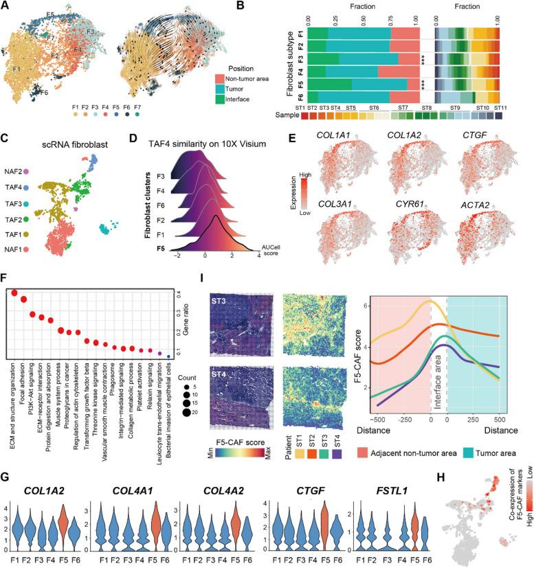 https://cdn.ncbi.nlm.nih.gov/pmc/blobs/3bd5/11320883/42cfabaff2a0/13073_2024_1367_Fig3_HTML.jpg