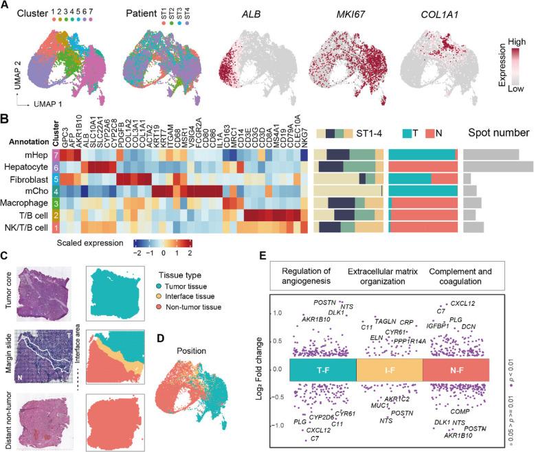 https://cdn.ncbi.nlm.nih.gov/pmc/blobs/3bd5/11320883/c76659523e3d/13073_2024_1367_Fig2_HTML.jpg