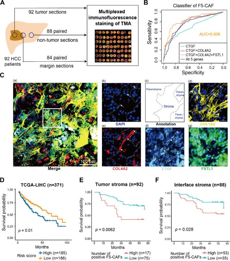 https://cdn.ncbi.nlm.nih.gov/pmc/blobs/3bd5/11320883/ce8237d4b8db/13073_2024_1367_Fig4_HTML.jpg
