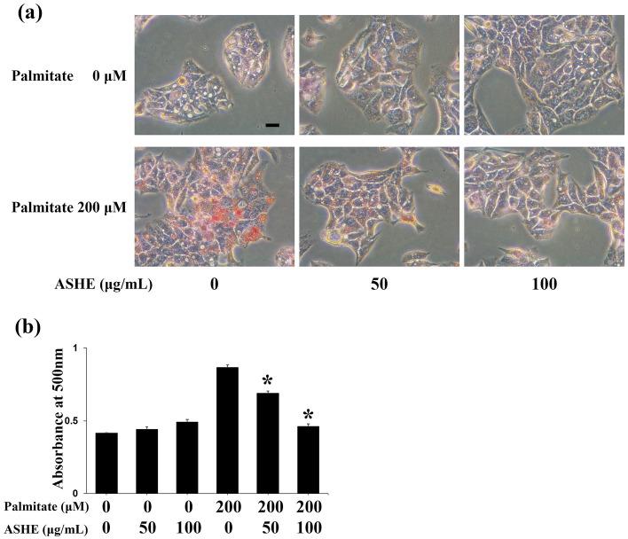 https://cdn.ncbi.nlm.nih.gov/pmc/blobs/3bd6/10762184/8587004a3039/41598_2023_50625_Fig4_HTML.jpg