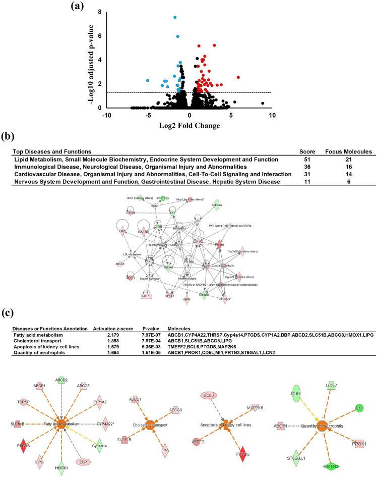 https://cdn.ncbi.nlm.nih.gov/pmc/blobs/3bd6/10762184/e626168668c4/41598_2023_50625_Fig2_HTML.jpg