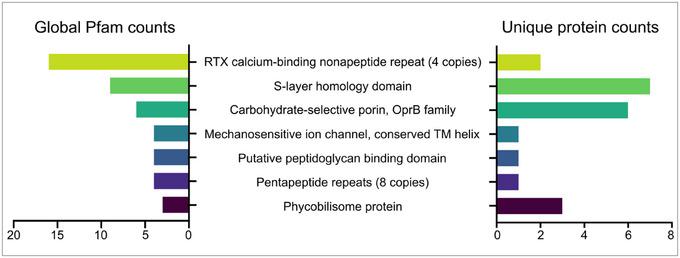 https://cdn.ncbi.nlm.nih.gov/pmc/blobs/3bd6/11635480/e13524e23b0e/JEX2-3-e70025-g005.jpg