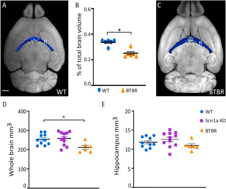 https://cdn.ncbi.nlm.nih.gov/pmc/blobs/3bd8/12172752/ed62587d0f0f/gr2.jpg