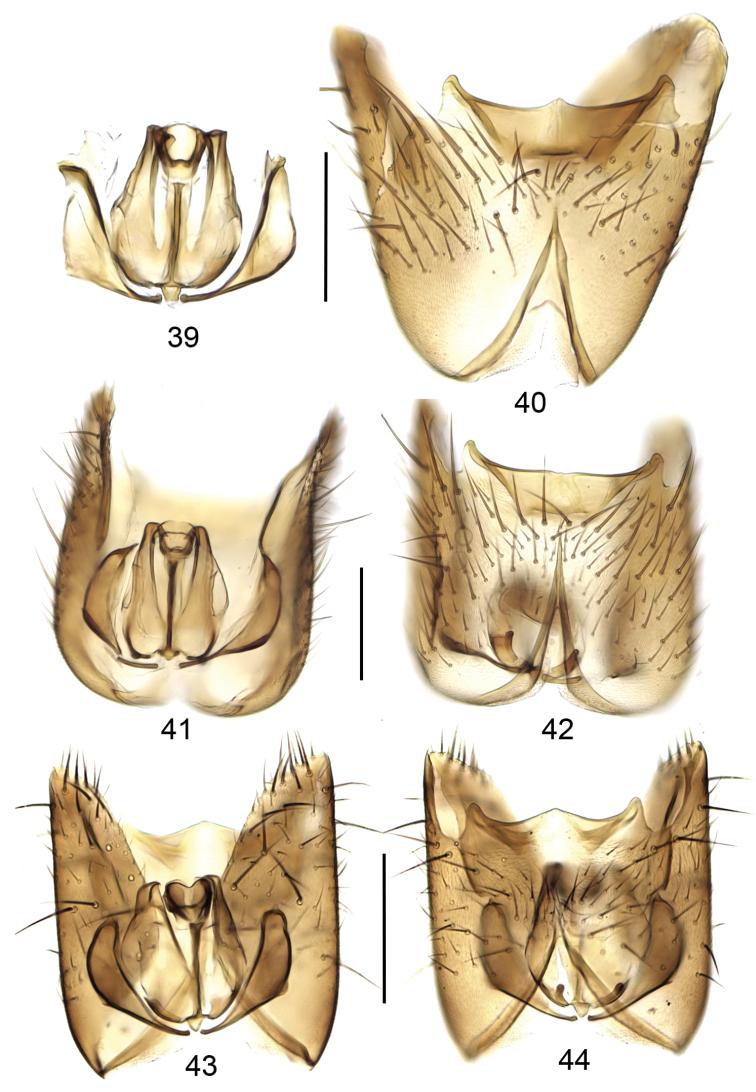 https://cdn.ncbi.nlm.nih.gov/pmc/blobs/3bd8/4492204/5683ff9fff45/zookeys-508-015-g009.jpg