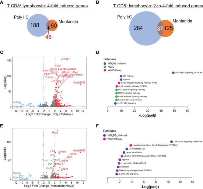 https://cdn.ncbi.nlm.nih.gov/pmc/blobs/3bd9/9278660/4d4b7be5c970/fimmu-13-910022-g005.jpg
