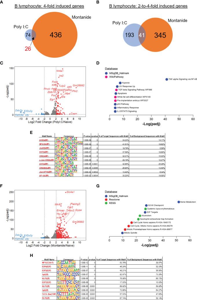 https://cdn.ncbi.nlm.nih.gov/pmc/blobs/3bd9/9278660/f6bb73981fda/fimmu-13-910022-g003.jpg