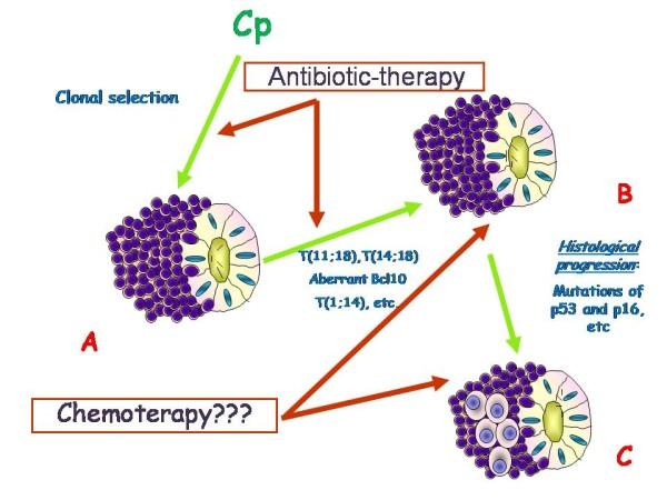 https://cdn.ncbi.nlm.nih.gov/pmc/blobs/3bda/3355003/587c9bb67090/1750-9378-7-8-4.jpg
