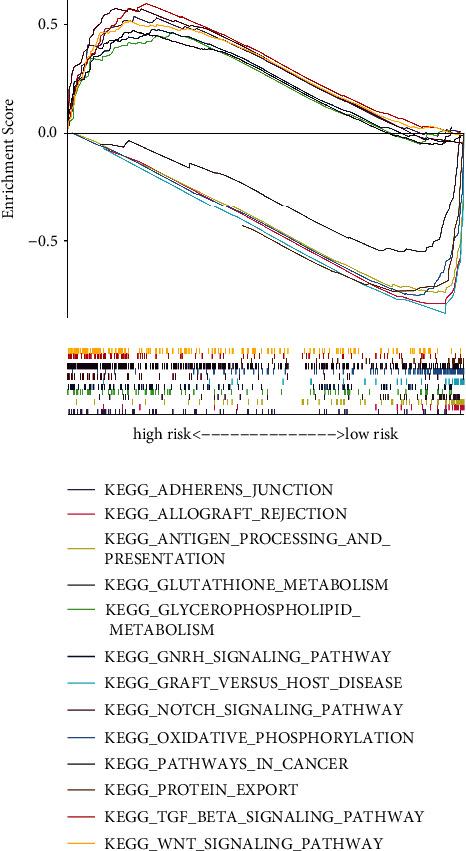 https://cdn.ncbi.nlm.nih.gov/pmc/blobs/3bde/10104744/7fde671f4488/JO2023-6037121.006.jpg