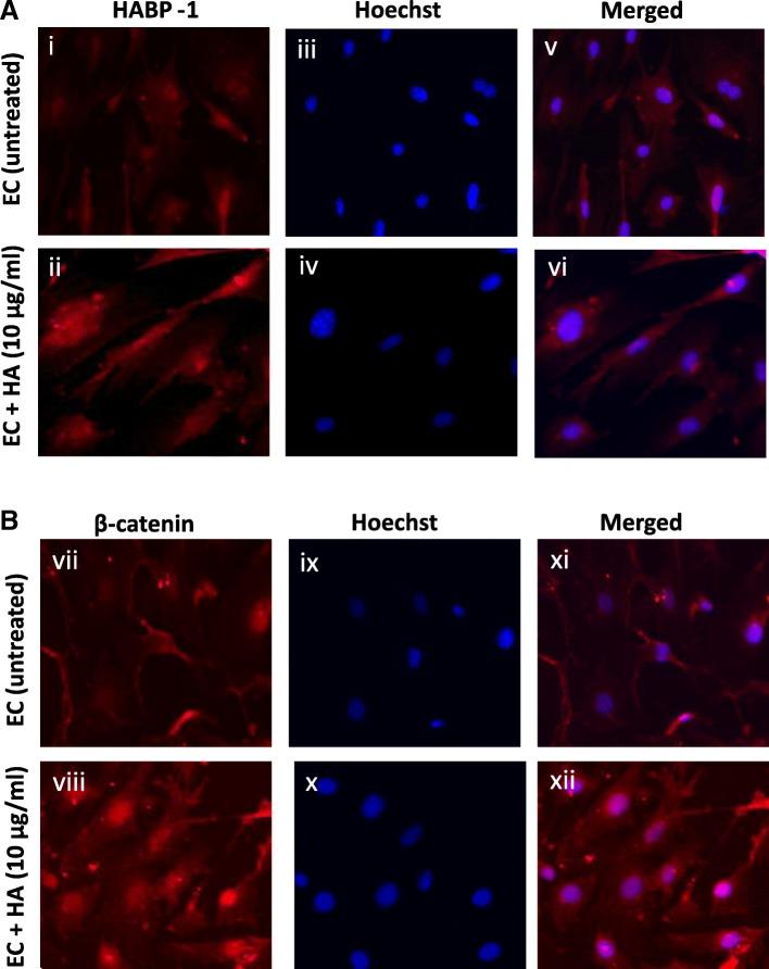 https://cdn.ncbi.nlm.nih.gov/pmc/blobs/3bde/5996548/a33ecf9dd0bd/12885_2018_4532_Fig6_HTML.jpg