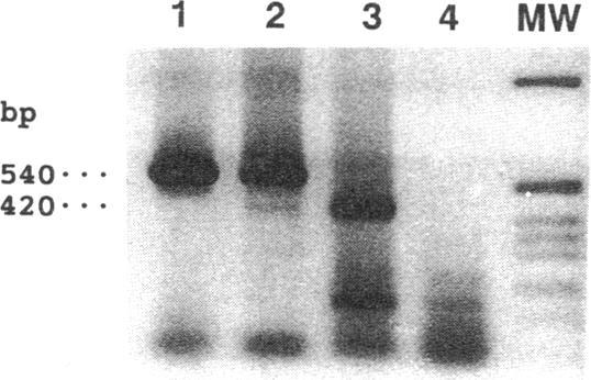 https://cdn.ncbi.nlm.nih.gov/pmc/blobs/3be1/443160/f1c4d259b370/jcinvest00052-0033-a.jpg