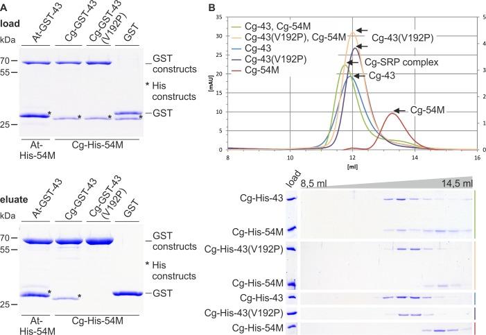 https://cdn.ncbi.nlm.nih.gov/pmc/blobs/3be3/5115805/3aa4746052ee/pone.0166818.g003.jpg