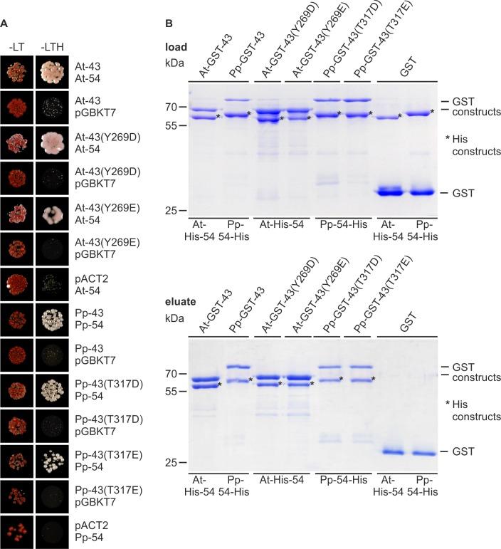 https://cdn.ncbi.nlm.nih.gov/pmc/blobs/3be3/5115805/8dcda06aee78/pone.0166818.g002.jpg