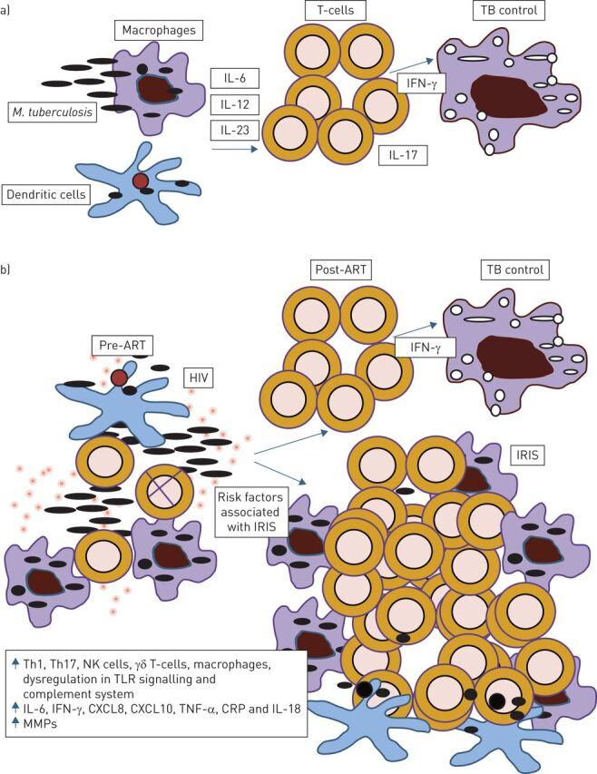 https://cdn.ncbi.nlm.nih.gov/pmc/blobs/3be3/9488984/184fa458fb95/ERR-0042-2016.01.jpg