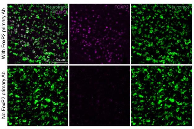 https://cdn.ncbi.nlm.nih.gov/pmc/blobs/3be4/10317500/5633e9f750ba/elife-81119-sa2-fig2.jpg