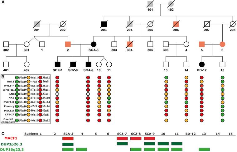 https://cdn.ncbi.nlm.nih.gov/pmc/blobs/3be7/8058362/930e7c6c0d52/fgene-12-622886-g001.jpg