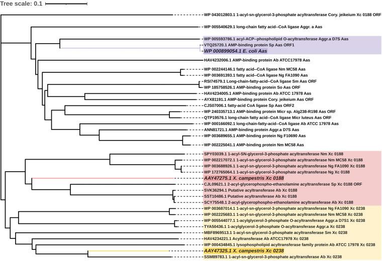 https://cdn.ncbi.nlm.nih.gov/pmc/blobs/3bea/10434233/19bd23ba31d0/spectrum.01583-23-f008.jpg