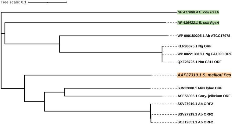 https://cdn.ncbi.nlm.nih.gov/pmc/blobs/3bea/10434233/6868fc567008/spectrum.01583-23-f007.jpg