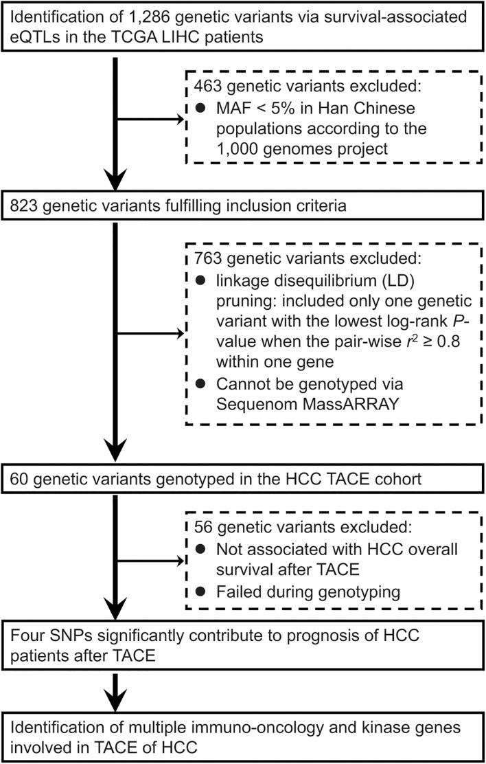 https://cdn.ncbi.nlm.nih.gov/pmc/blobs/3bec/8502842/51ed8c230e29/fcell-09-720791-g001.jpg