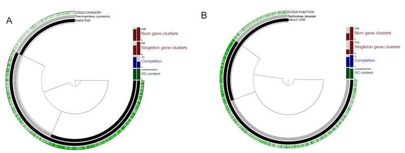 https://cdn.ncbi.nlm.nih.gov/pmc/blobs/3bed/7999037/642a05ad91fe/genes-12-00391-g002.jpg