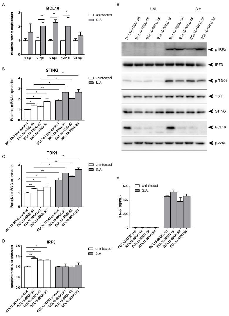 https://cdn.ncbi.nlm.nih.gov/pmc/blobs/3bed/8000617/53d435932bc0/pathogens-10-00300-g006.jpg