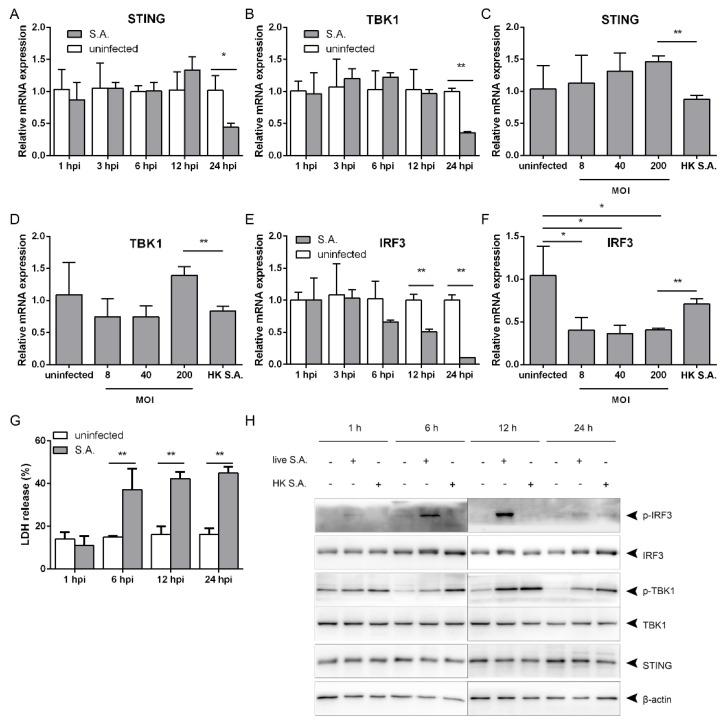 https://cdn.ncbi.nlm.nih.gov/pmc/blobs/3bed/8000617/9f5931328e20/pathogens-10-00300-g002.jpg