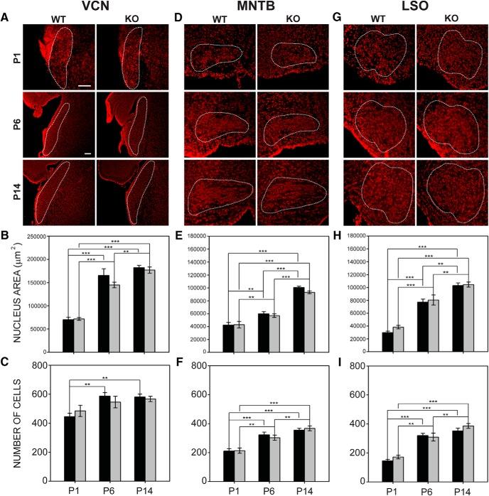 https://cdn.ncbi.nlm.nih.gov/pmc/blobs/3bee/5744645/68b1b7c5ebf1/enu0061724900005.jpg
