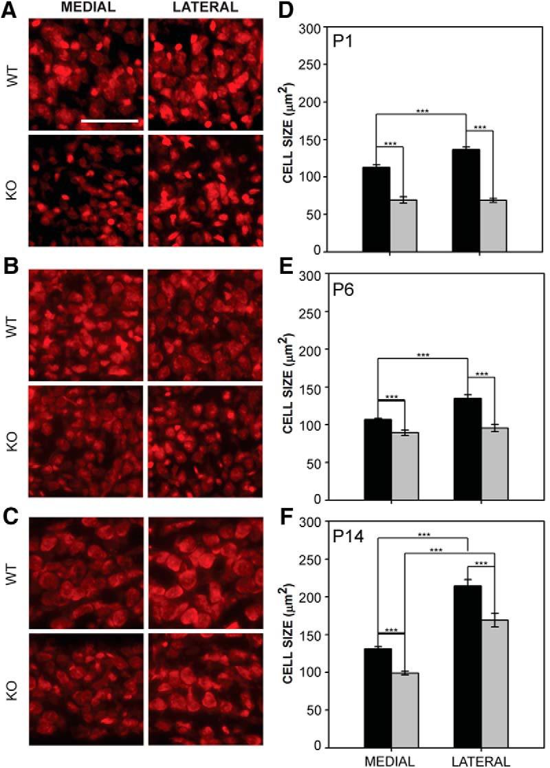 https://cdn.ncbi.nlm.nih.gov/pmc/blobs/3bee/5744645/7544814d2754/enu0061724900003.jpg