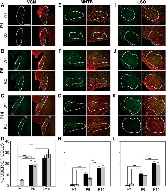 https://cdn.ncbi.nlm.nih.gov/pmc/blobs/3bee/5744645/9e1a147b3f3a/enu0061724900009.jpg