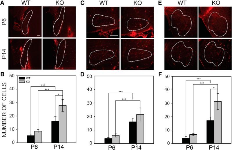 https://cdn.ncbi.nlm.nih.gov/pmc/blobs/3bee/5744645/c56e3a830667/enu0061724900010.jpg