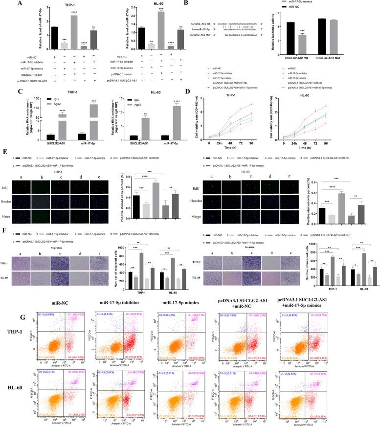 https://cdn.ncbi.nlm.nih.gov/pmc/blobs/3bef/10795285/0d4ab9eb32aa/12885_2023_11687_Fig6_HTML.jpg