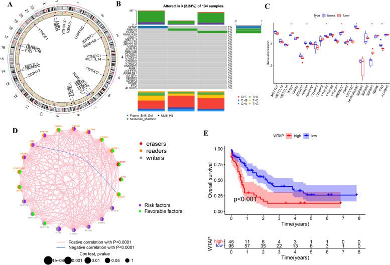 https://cdn.ncbi.nlm.nih.gov/pmc/blobs/3bef/10795285/7fc0031d3a80/12885_2023_11687_Fig10_HTML.jpg