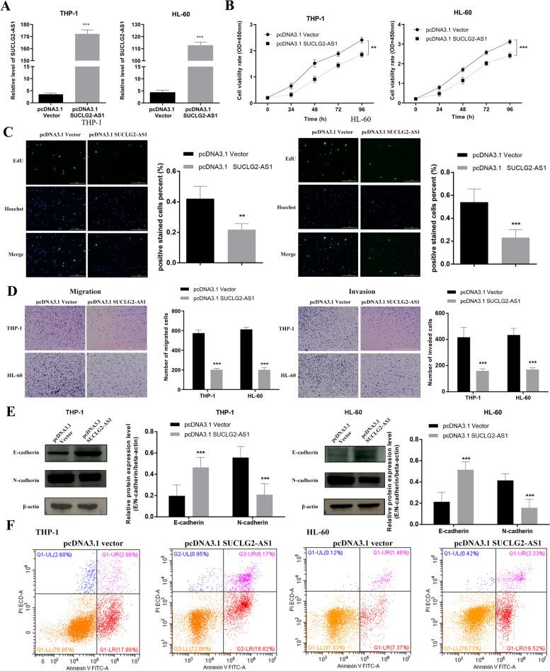 https://cdn.ncbi.nlm.nih.gov/pmc/blobs/3bef/10795285/dd6d0a20c777/12885_2023_11687_Fig5_HTML.jpg