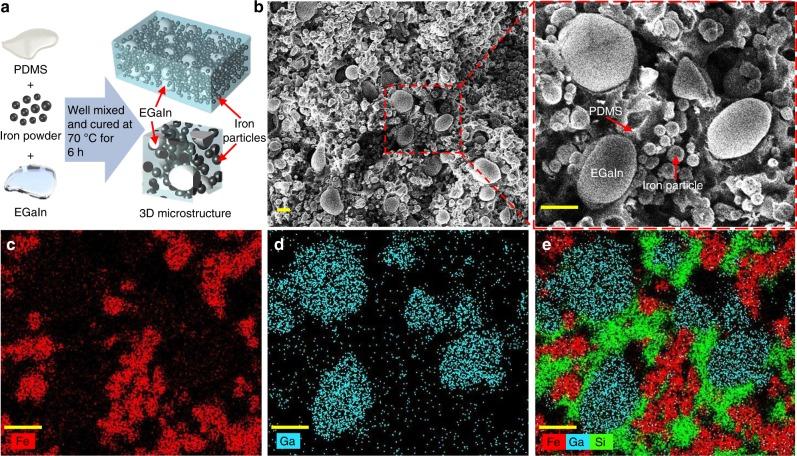 https://cdn.ncbi.nlm.nih.gov/pmc/blobs/3bf5/6428896/aa5d8ae38467/41467_2019_9325_Fig1_HTML.jpg