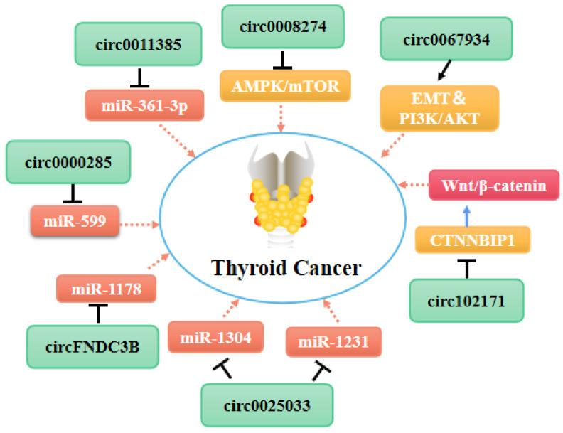https://cdn.ncbi.nlm.nih.gov/pmc/blobs/3bf6/8120456/e7075911f389/ijbsv17p1731g003.jpg