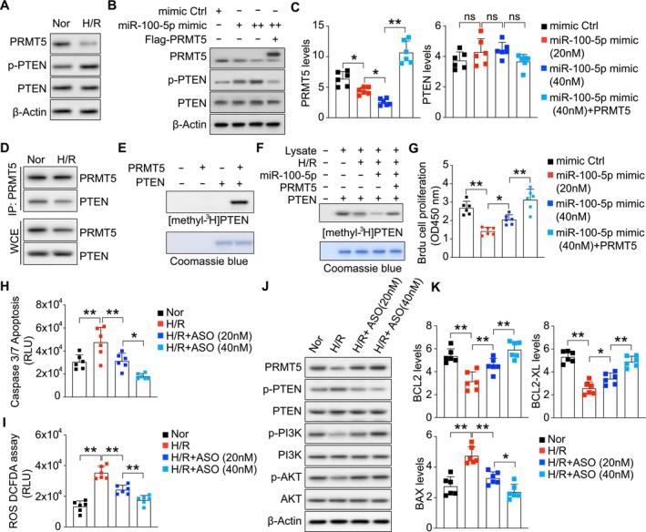 https://cdn.ncbi.nlm.nih.gov/pmc/blobs/3bfa/12139580/90b51e580b7d/FSB2-39-e70690-g003.jpg