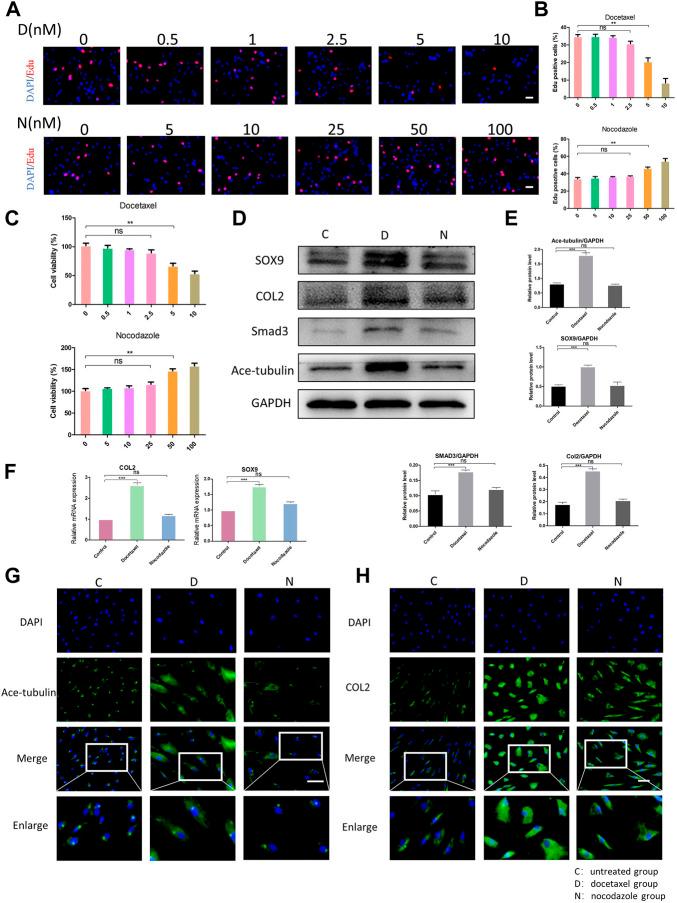 https://cdn.ncbi.nlm.nih.gov/pmc/blobs/3bfa/9909034/3669ed42c9c2/fphar-14-1102318-g002.jpg