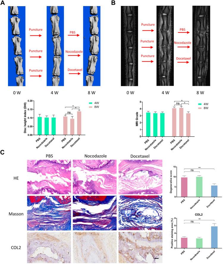 https://cdn.ncbi.nlm.nih.gov/pmc/blobs/3bfa/9909034/4b95b3379d2d/fphar-14-1102318-g007.jpg