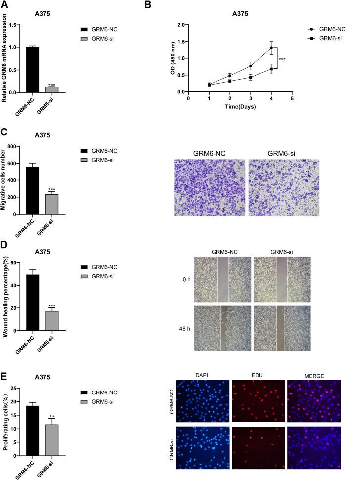 https://cdn.ncbi.nlm.nih.gov/pmc/blobs/3bfc/11165152/be6b47eaa032/fphar-15-1389550-g009.jpg