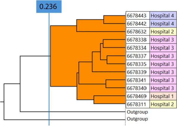 https://cdn.ncbi.nlm.nih.gov/pmc/blobs/3bfc/12013074/166d66a7e7e9/13756_2025_1546_Fig5_HTML.jpg